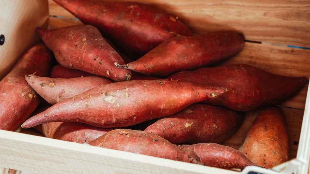 Garden Facts: Sweet Potatoes 101